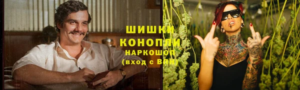 mdpv Белокуриха