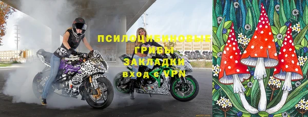mdpv Белокуриха