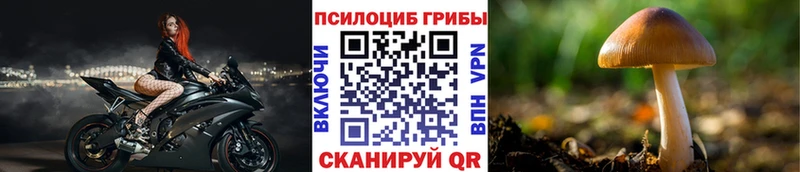 Галлюциногенные грибы мицелий  Купить  Лесозаводск 