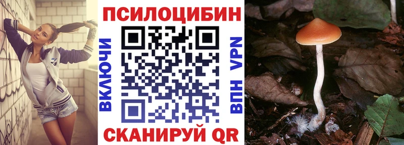 Галлюциногенные грибы прущие грибы Лесозаводск